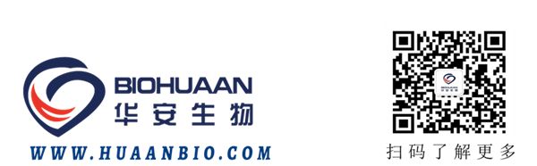 1667380021831995.png (新)公司底部LOGO_副本.png